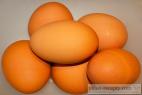 Recept Pikantné karfiolové placky - vajcia slepačie