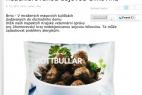 Recept Pečené mäsové guličky Köttbullar - mäsové guličky Köttbullar IKEA - tlačová správa
